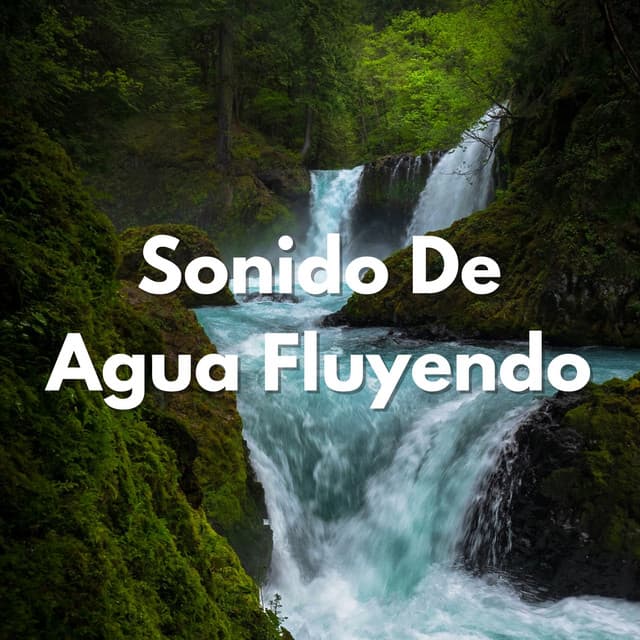 Sonido De Agua Fluyendo - Paisaje sonoro de agua goteando