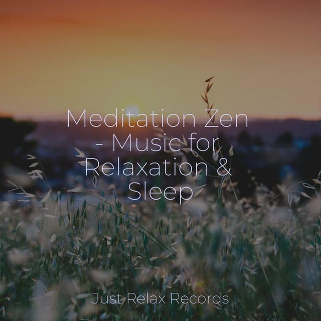 Meditation Zen - Music for Relaxation & Sleep - Sonidos De Lluvia y Tormentas