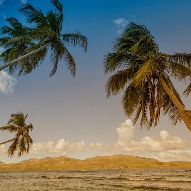 10 PM Wellness: Oceans Embrace - Ocean Waves For Sleep