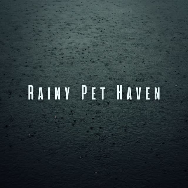 Rainy Pet Haven: Relaxed Atmosphere with Ambient Sounds - The Power of Rain