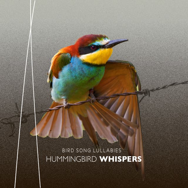 Hummingbird Whispers - Bird Song Lullabies