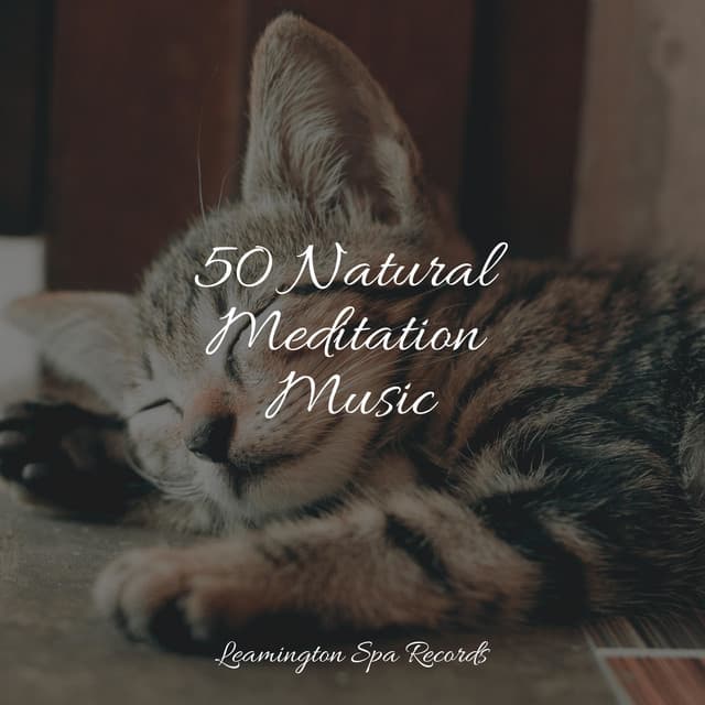 50 Natural Meditation Music - Deep Focus