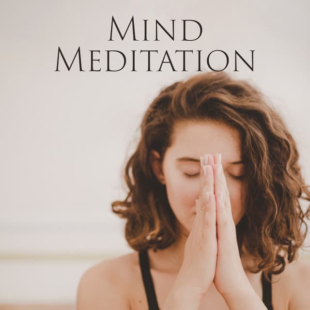 Mind Meditation: Manage Your Stress, Get Into The State of Balance - Rose Wanders