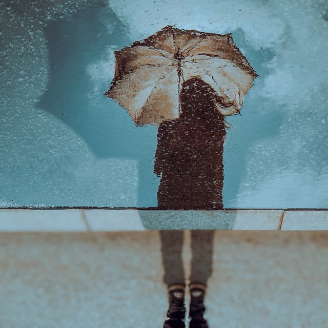 01 Weather Songs: Nature’s Orchestra at Nightfall - 24H Rain Sounds