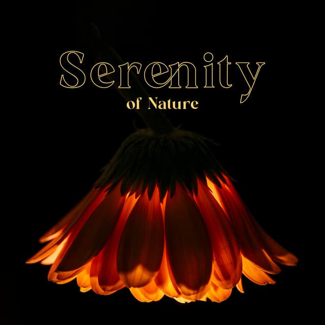 Serenity of Nature - Trouble Sleeping Music Universe