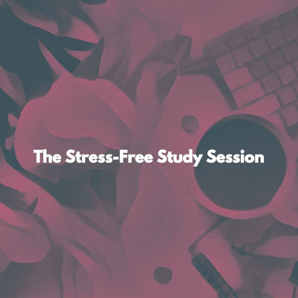 The Stress-Free Study Session - Dinner Music Chill