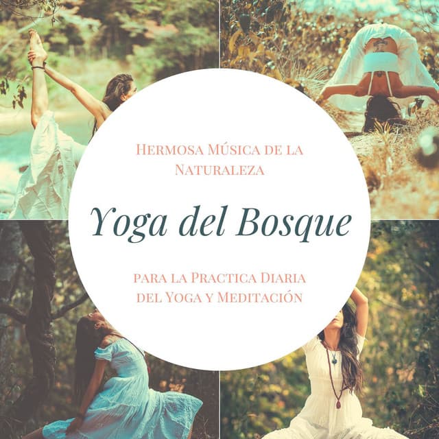 Yoga del Bosque: Hermosa Música de la Naturaleza para la Practica Diaria del Yoga y Meditación - Instancia Naturales