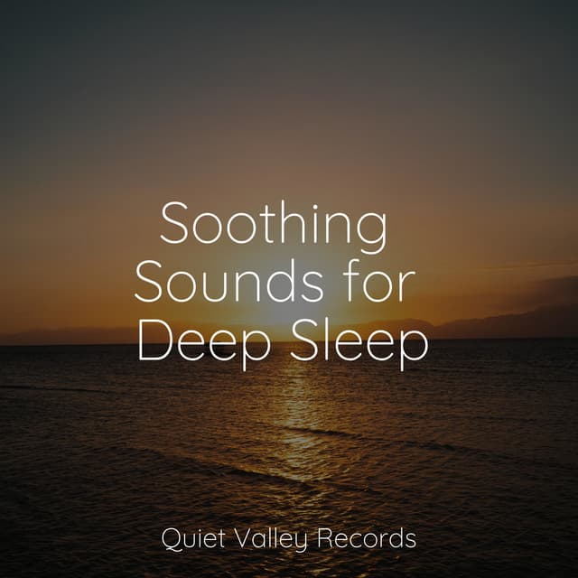 Soothing Sounds for Deep Sleep - White Noise Babies