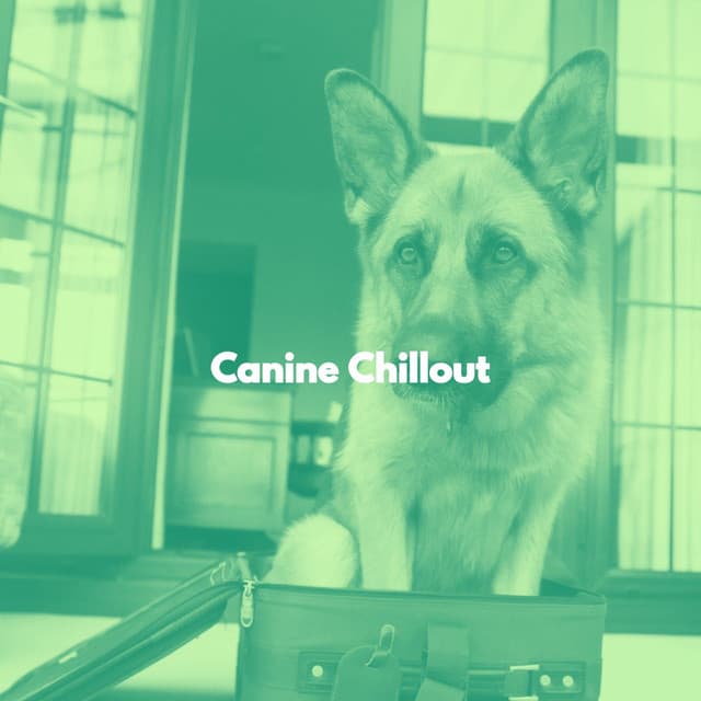 Canine Chillout - Música de Oficina