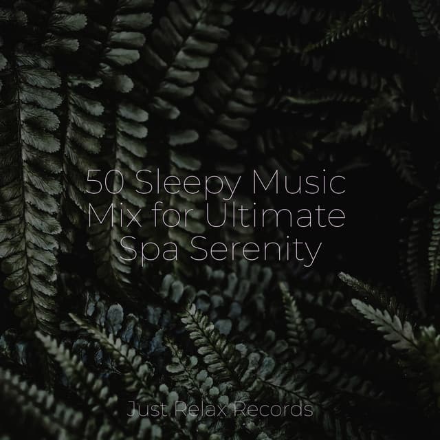 50 Sleepy Music Mix for Ultimate Spa Serenity - Meditar Profundamente