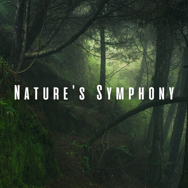 Nature's Symphony: Yoga Meditation with Ambient Sounds - Nature Music Nature Songs