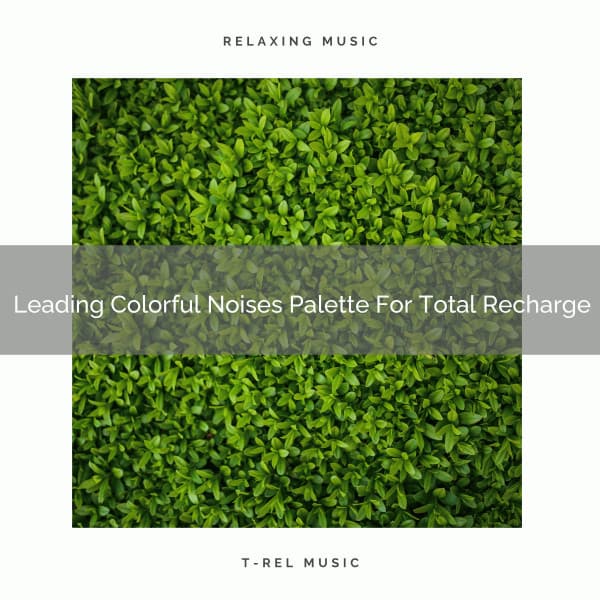 Leading Colorful Noises Palette For Total Recharge - Baby Rain Sleep Sounds / Brown Noise Therapy
