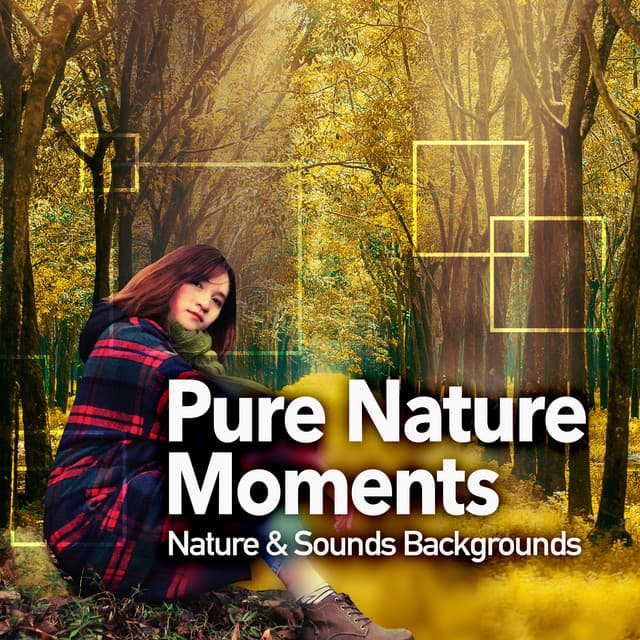Pure Nature Moments - Nature & Sounds Backgrounds