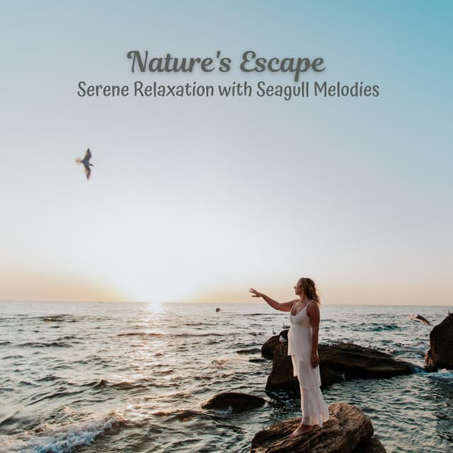 Nature's Escape: Serene Relaxation with Seagull Melodies - Sea of Noise