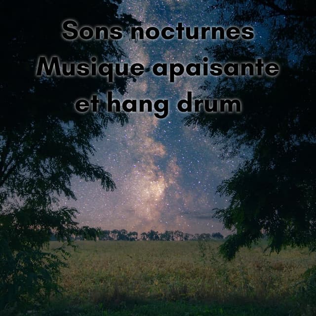 Sons nocturnes, Musique apaisante et hang drum - New Age Musique Zen