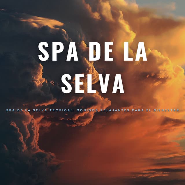 Spa De La Selva Tropical: Sonidos Relajantes Para El Bienestar - Ruidos de la Selva