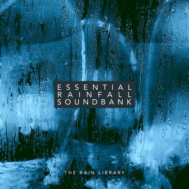 Essential Rainfall Soundbank - The Rain Library