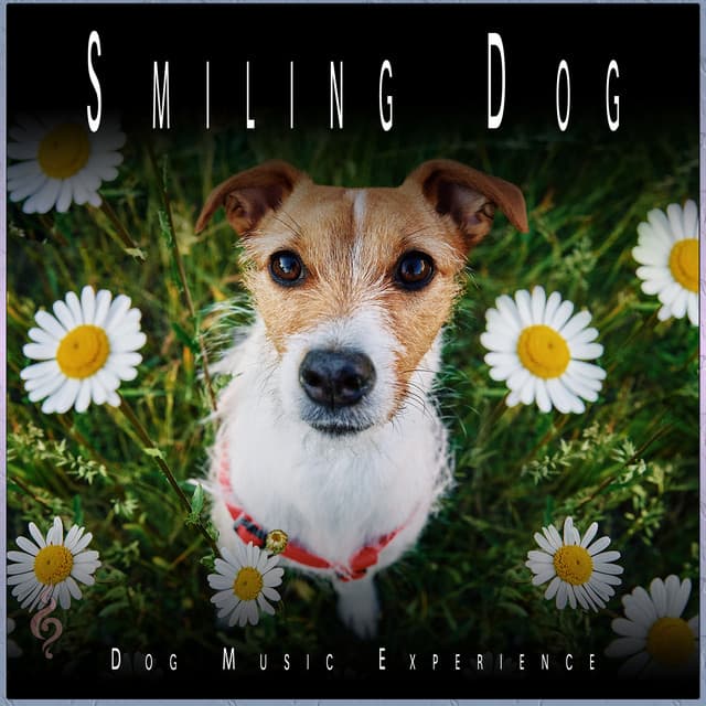 Smiling Dog: Peaceful Cuddle and Sleeping Dog Moments - Dog Music Experience