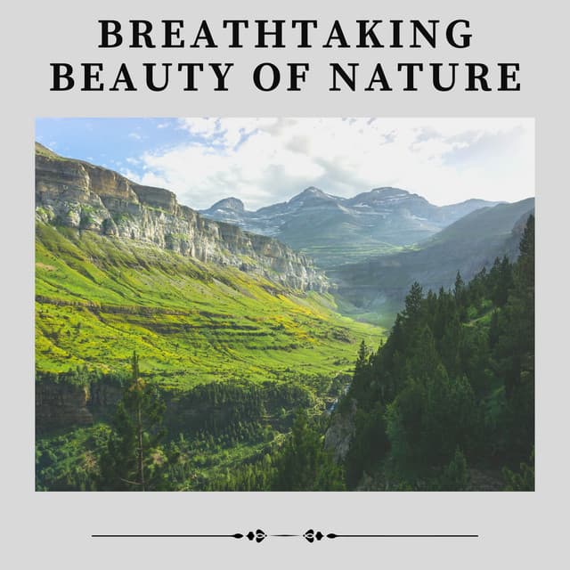 Breathtaking Beauty of Nature - Organic Nature Sounds