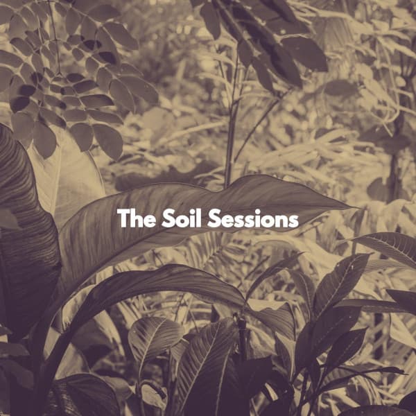 The Soil Sessions - Monday Morning Music