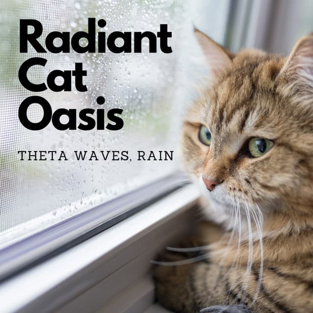 Radiant Cat Oasis: Theta Waves, Rain - Relax My Cat