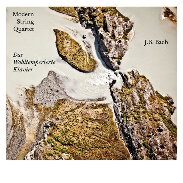 Modern String Quartet