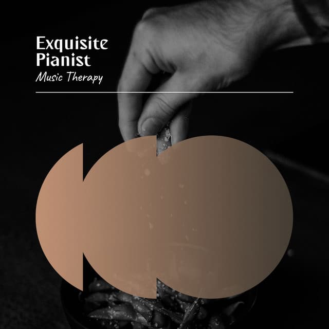 Exquisite Pianist Music Therapy - Classical Music