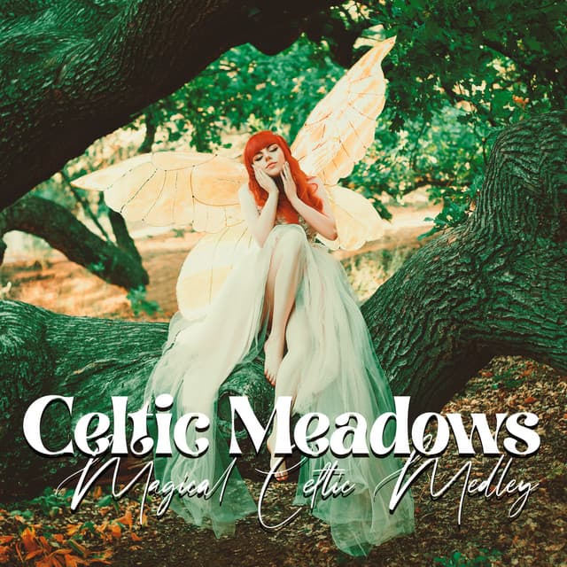 Celtic Meadows: Magical Celtic Medley for Soothing Relaxation and Inspiring Meditation with Healing Sounds of Harp,Guitar, Flute - Celtic Chillout Relaxation Academy