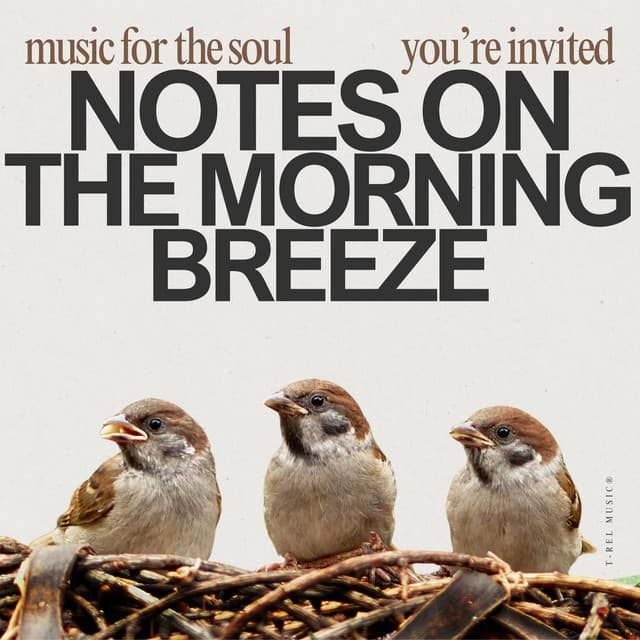 Notes on the Morning Breeze - Avianora