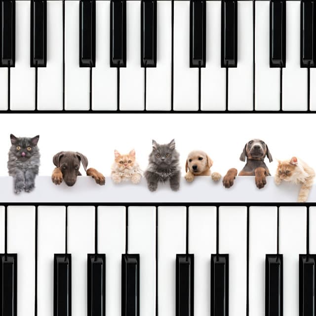 Piano's Calming Oasis: Serenity for Furry Friends - Piano Animal