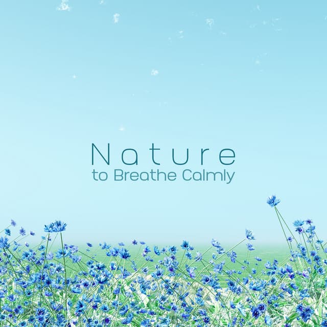 Nature to Breathe Calmly: Sleep Solution Music with Water Sounds, Anxiety Relief before Bed and Slow Thoughts - Calming Music Sanctuary