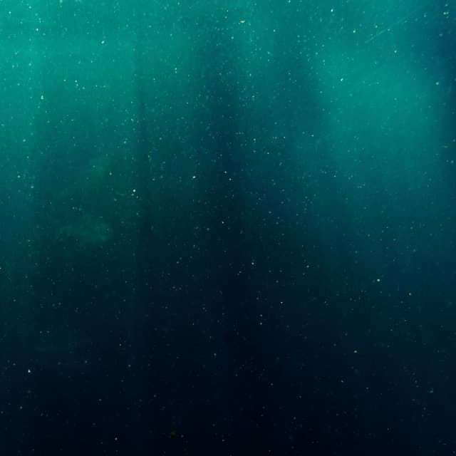 Rousing Sea Waves - Calm Sea Sounds