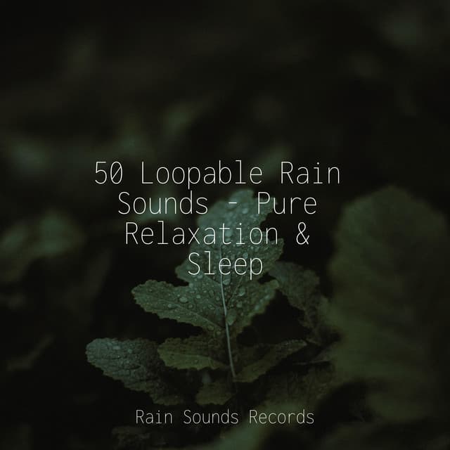 50 Loopable Rain Sounds - Pure Relaxation & Sleep - Musica Para Estudiar Academy