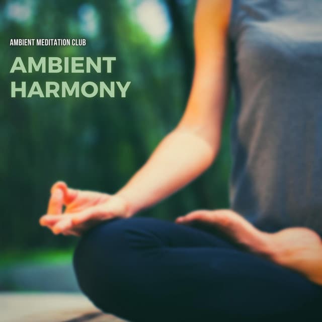 Ambient Meditation Club