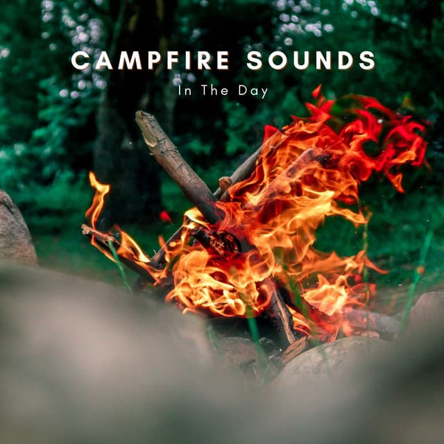 Campfire Sounds In The Day - Natural Sounds Selections