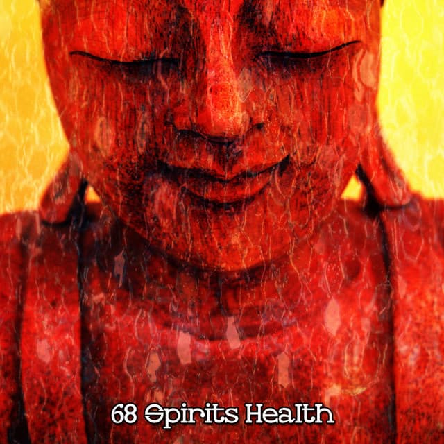 68 Spirits Health - The Yoga Mantra and Chant Music Project
