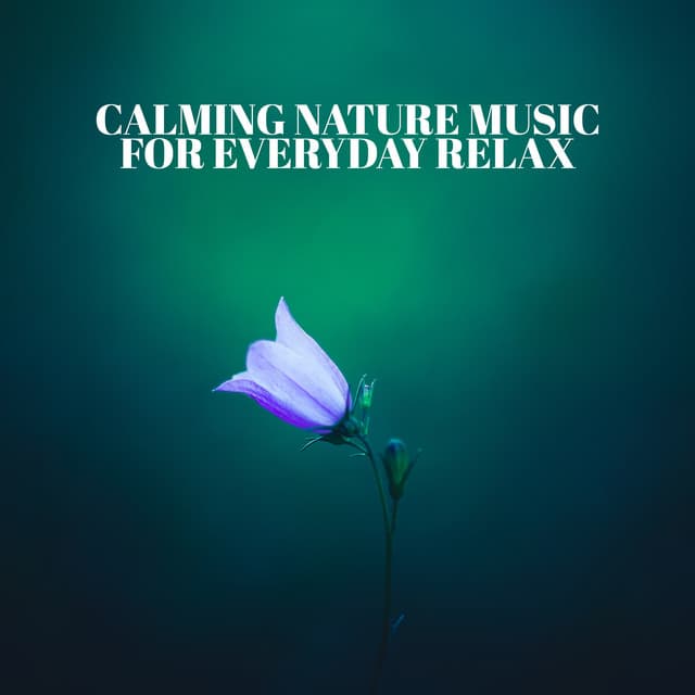 Calming Nature Music for Everyday Relax: Beautiful Collection of Forest, Jungle & Water Sounds - Calming Waters Consort