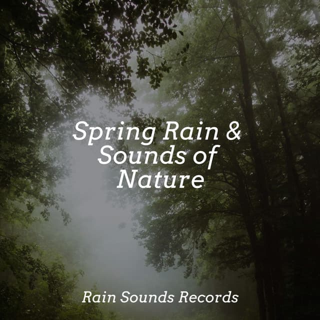 Spring Rain & Sounds of Nature - Smart Baby Lullaby