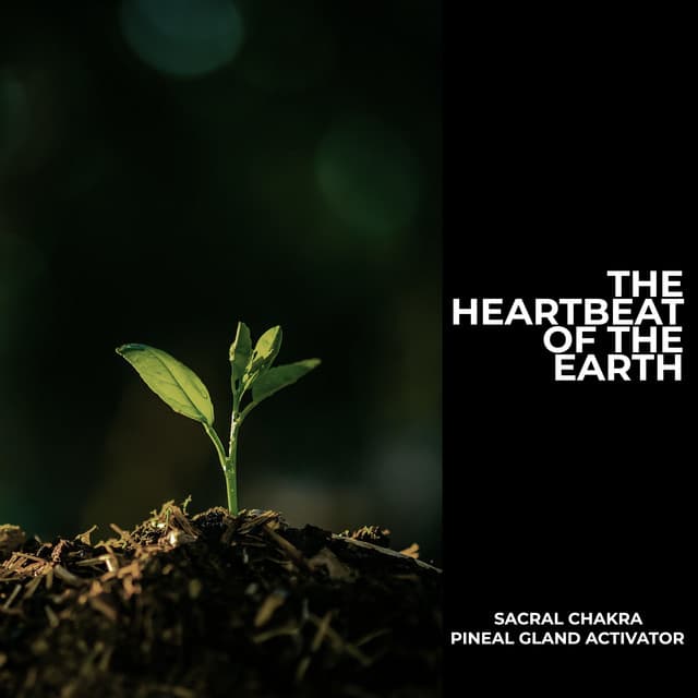 The Heartbeat of the Earth - Sacral Chakra