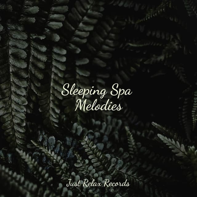 Sleeping Spa Melodies - Study Music & Sounds