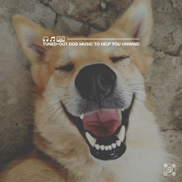 Tuned-Out Dog Music to Help You Unwind - Dog Sleep Academy