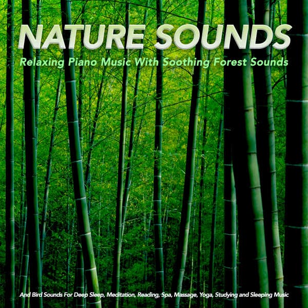 Nature Sounds: Relaxing Piano Music With Soothing Forest Sounds and Bird Sounds For Deep Sleep, Meditation, Reading, Spa, Massage, Yoga, Studying and Sleeping Music - Sleep Sounds of Nature