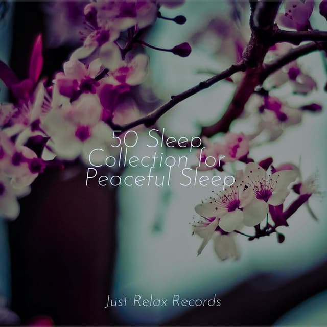 50 Sleep Collection for Peaceful Sleep - Thunderstorm Sound Bank