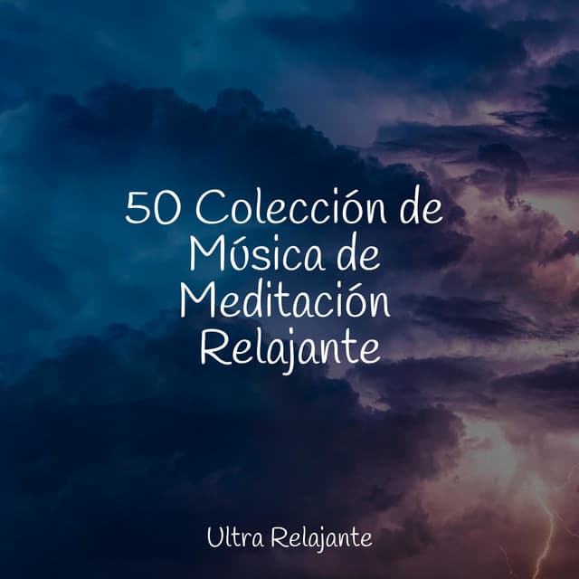 50 Colección de Música de Meditación Relajante - El hada de las canciones de cuna