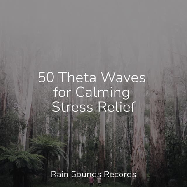 50 Theta Waves for Calming Stress Relief - Relajacion Del Mar