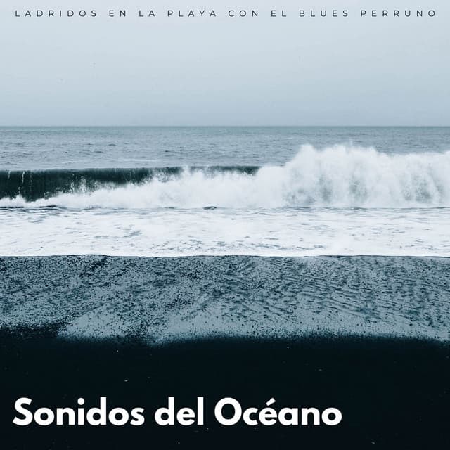 Sonidos Del Océano: Ladridos En La Playa Con El Blues Perruno - Sonidos De Oceano