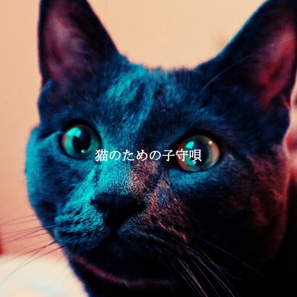 猫のための子守唄 - Jazz para Estudiar