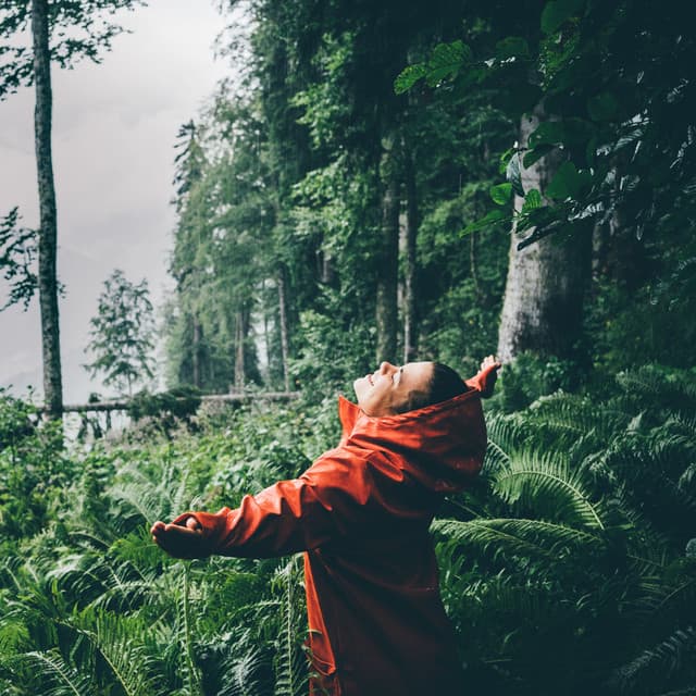 Serene Rainfall: A Meditative Shower for Inner Peace - Rainfall For Sleep