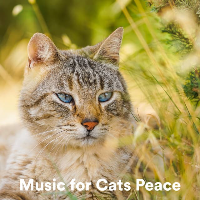 Music for Cats Peace