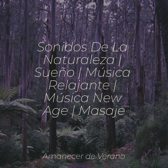 Sonidos De La Naturaleza | Sueño | Música Relajante | Música New Age | Masaje - Canciones Infantiles de Niños